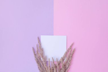 Pembe arka planda yaban çiçekleri ve notlar. yaz konsepti.