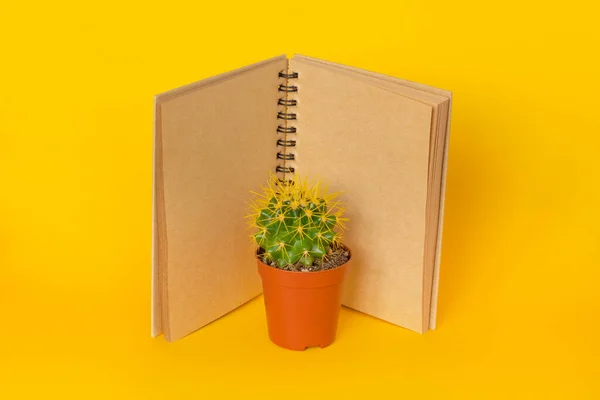 Kaktusz Kézműves Napló Sárga Háttérrel Tervezés — Stock Fotó