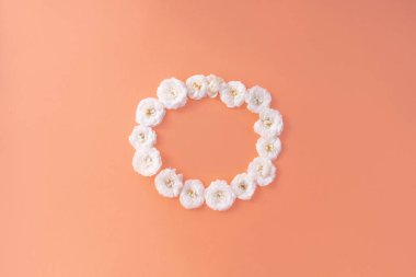 Çiçek kompozisyonu. Pembe arka planda beyaz küçük gülden yapılmış çerçeve. Anneler günü, sevgililer günü, doğum günü, bahar, yaz konsepti. Düz konum, üst görünüm, kopyalama alanı