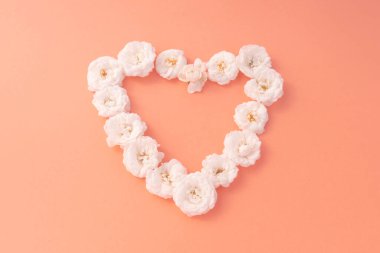 Çiçek kompozisyonu. Pembe arka planda beyaz küçük gülün kalp çerçevesi. Anneler günü, sevgililer günü, doğum günü, bahar, yaz konsepti. Düz konum, üst görünüm, kopyalama alanı