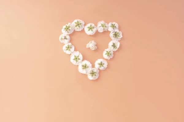 Skład Kwiatów Serca Ramki Białej Róży Różowym Tle Dzień Matki — Zdjęcie stockowe