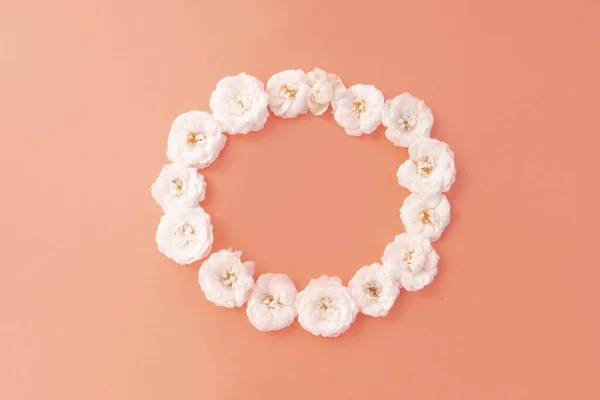 Composición Flores Línea Recta Hecha Rosa Pequeña Blanca Sobre Fondo — Foto de Stock