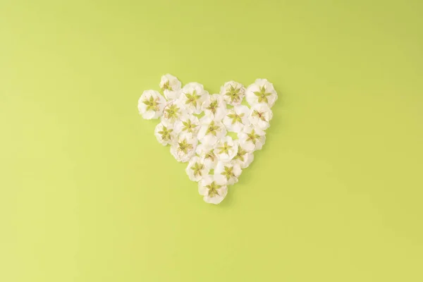 Composición Flores Marco Del Corazón Rosa Pequeña Blanca Sobre Fondo — Foto de Stock