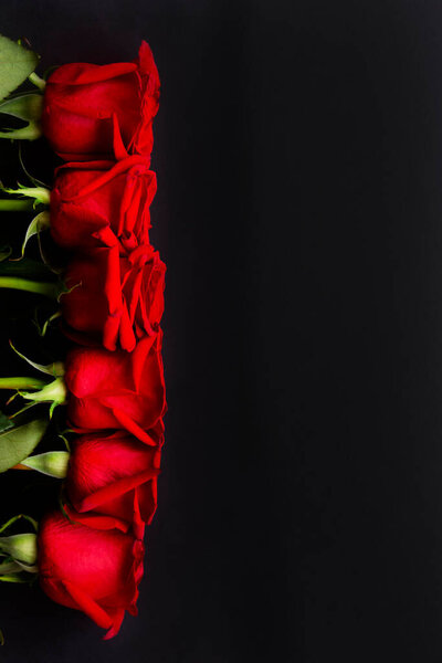Heap of fresh red roses in full bloom on black background, close up. Bunch of flowers. Copy space. Top view, flat lay. Valentine's day or Mother's day, love concept.