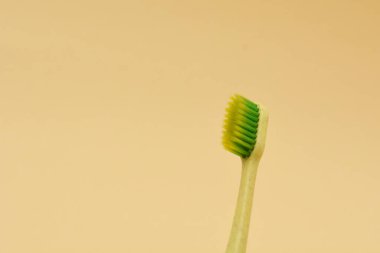 Diş fırçaları. Banyo için doğal organik güzellik ürünü konsepti