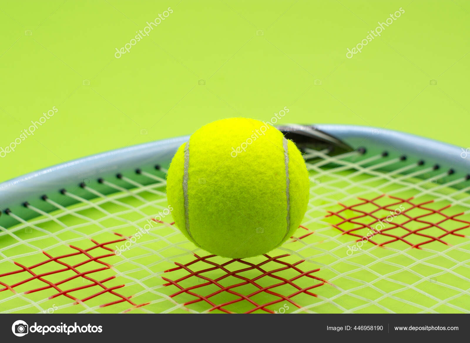 hoch Im Detail Farn tennisball schläger ziehen ägyptisch Melodie