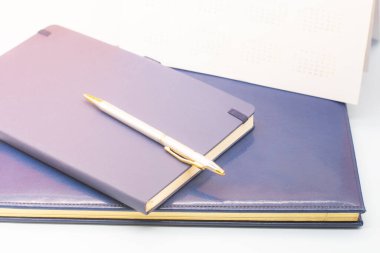 Mavi deri defterler ve bir kalem. Bir iş toplantısına hazırlanıyorum. İş konsepti