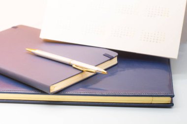 Mavi deri defterler ve bir kalem. Bir iş toplantısına hazırlanıyorum. İş konsepti