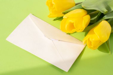 Yeşil arka planda sarı laleler. Baharın sembolü. Anneler Günü, Doğum Günü, Sevgililer Günü. Tatil kavramı. Çiçek kompozisyonu.