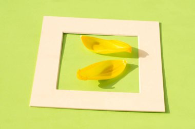 Yeşil arka planda bej çerçeveli sarı lale yaprağı. Bahar konsepti.