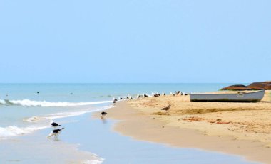 Güzel Jurere plajı, Florianopolis, Santa Catarina, Brezilya