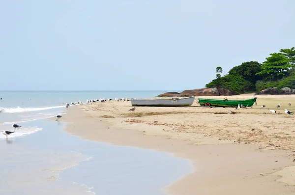 Beautiful Jurere Beach Florianópolis Santa Catarina Brasil — Fotografia de Stock