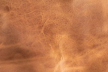 Tasarım şablonu ve arkaplan için kahverengi desenli deri