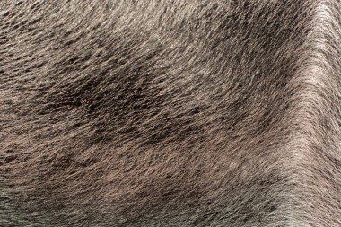 Tasarım şablonu ve arkaplan için gri desenli deri