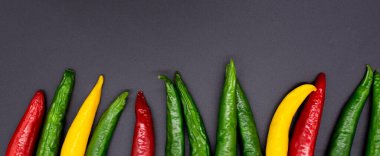 Siyah arka planda renkli acı biber.