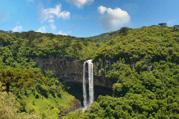 Canela Parque Caracol Brazil Rio Grande Sul Gramado — 스톡 사진