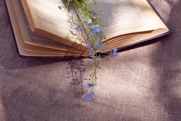 Vergiss Mich Nicht Blume Einem Buch Auf Einem Leinenhintergrund Blühende — Stockfoto