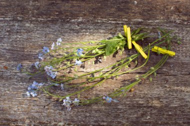 Ahşap bir arka planda mavi beni unutma işaretleri var. Yaz çiçekleri