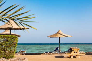 Şemsiyeli ve palmiye ağaçlı sahil manzarası, Hurghada, Mısır