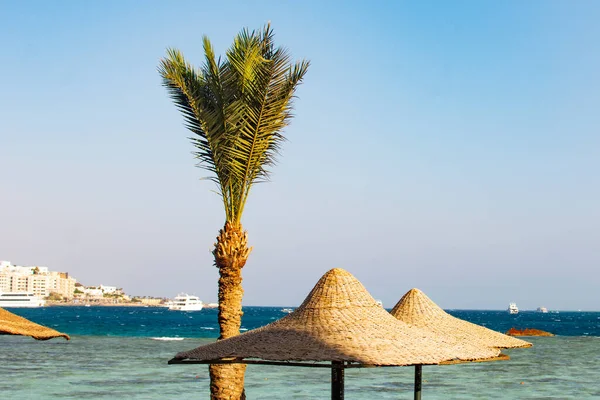 Şemsiyeli ve palmiye ağaçlı sahil manzarası, Hurghada, Mısır