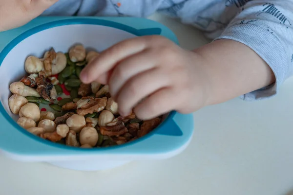 Das Kleinkind Isst Mit Den Händen Rohe Nüsse Vom Kinderteller lizenzfreie Stockbilder