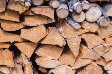 Kış için farklı ağaç türlerinden düzgünce istiflenmiş yakacak odun karışımı hasat ediyoruz. Uzay ısıtma ve pişirme için odun..