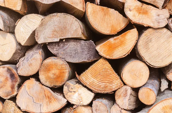 冬の収穫は さまざまな種類の木から薪の混合物をきれいに積み上げます 宇宙暖房や調理のための薪 — ストック写真