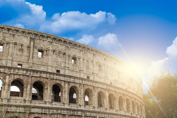 Ağaç görünümüyle Colosseum — Stok fotoğraf