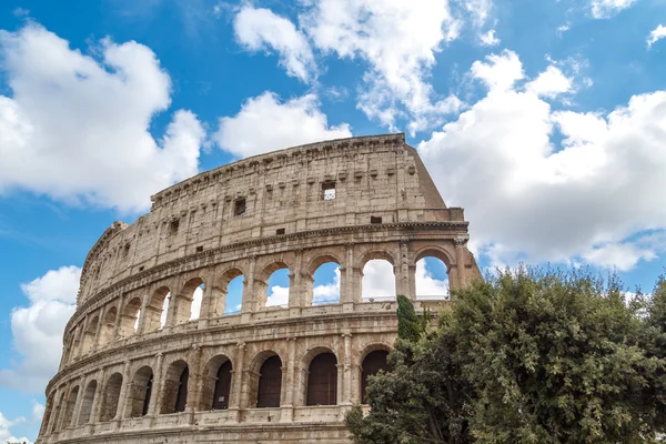 Ağaç görünümüyle Colosseum — Stok fotoğraf