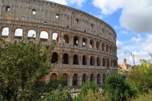 Colosseum View with Trees — Stock Photo, Image