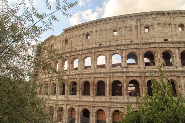 Blick auf das Kolosseum mit Bäumen — Stockfoto