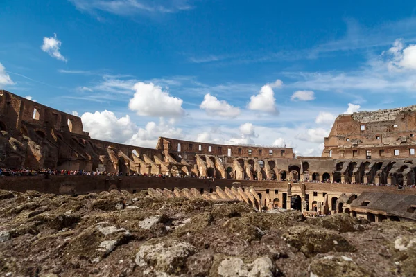Vue intérieure du Colisée — Photo