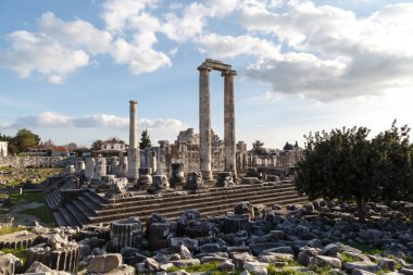 Didyma apollon Tapınağı