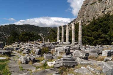 Priene Harabeleri görünümü