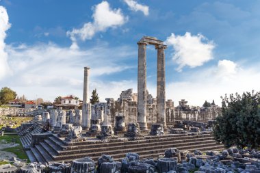 Didyma apollon Tapınağı