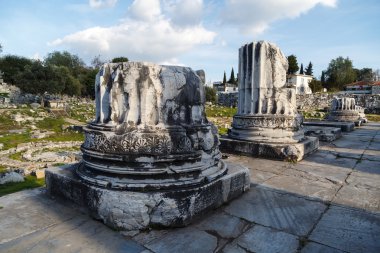 Didyma antik kenti