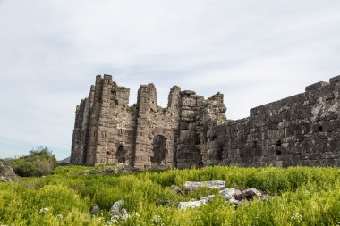 Aspendos antik kent görünümü