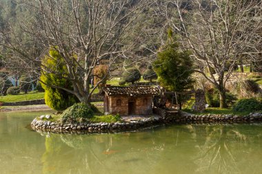 Bir parkta küçük göl