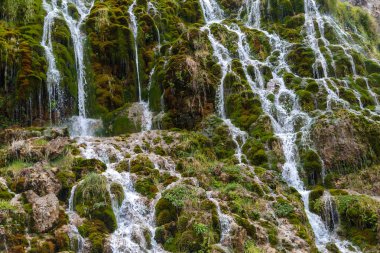Bitkiler içinde akan şelale