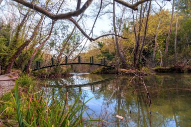 Göl kenarında ahşap köprü