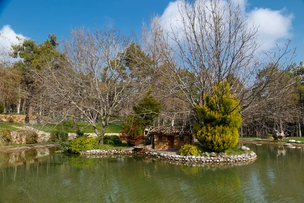 Small Lake in a Park — Stock Photo, Image