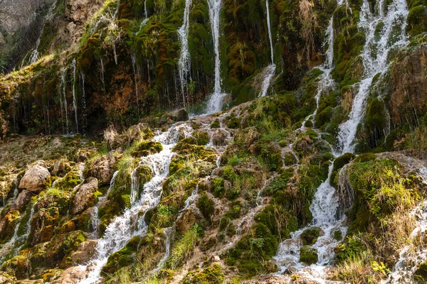 Waterfall Flowing Inside Plants — Stock Photo, Image