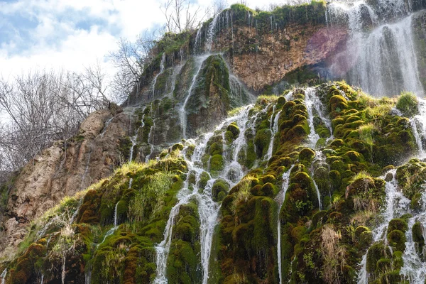 Waterfall Flowing Inside Plants — Stock Photo, Image