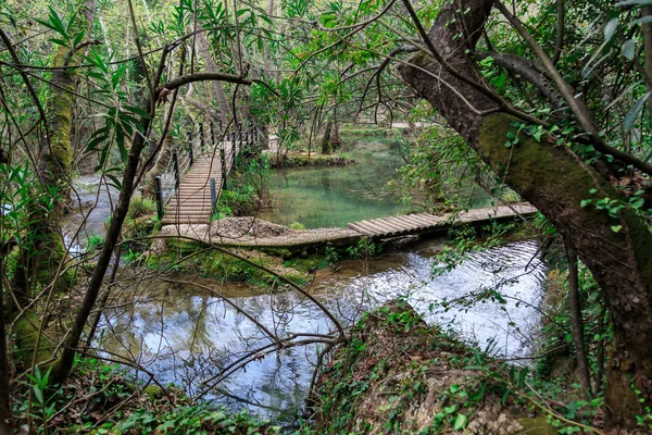 Holzbrücke am See — Stockfoto