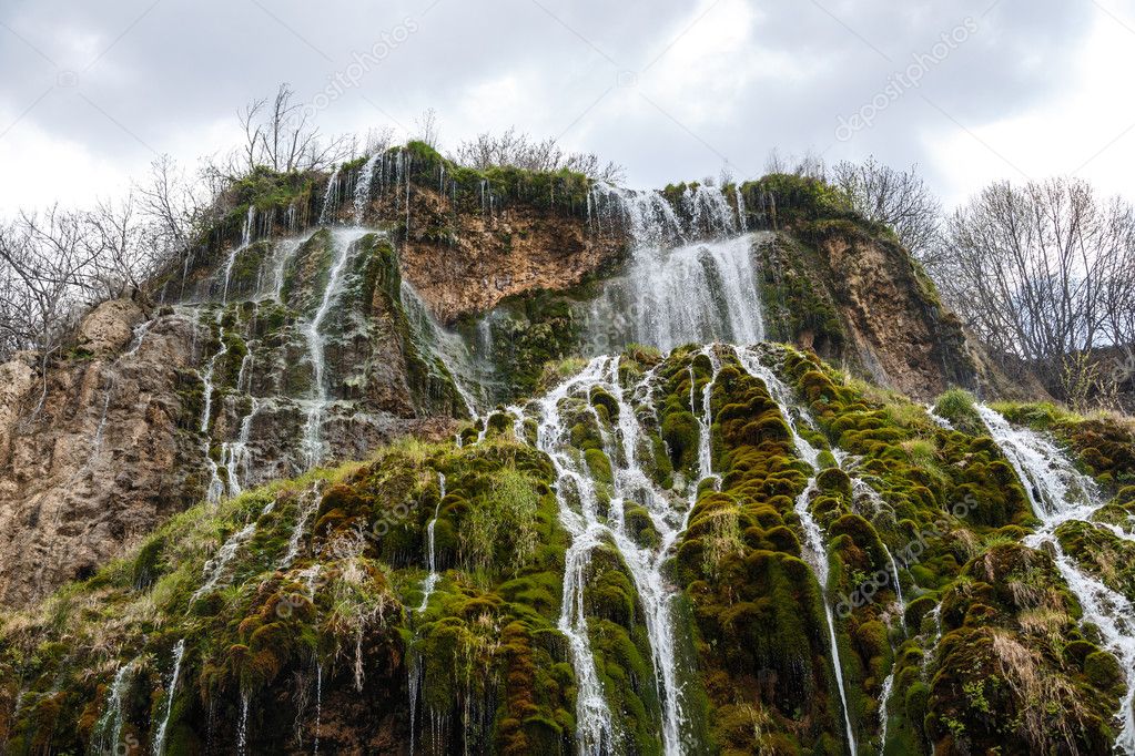 Waterfall Flowing Inside Plants