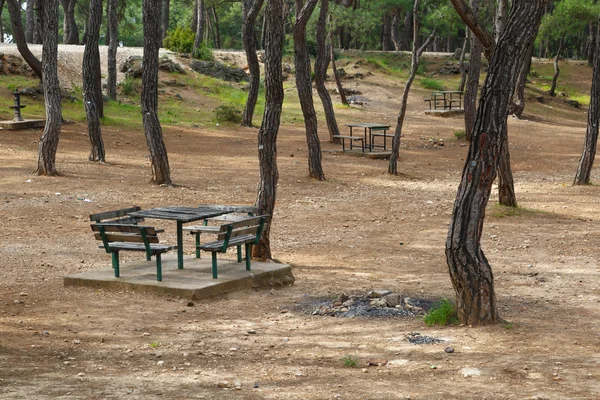 Bench in Natural Park — Stock Photo, Image