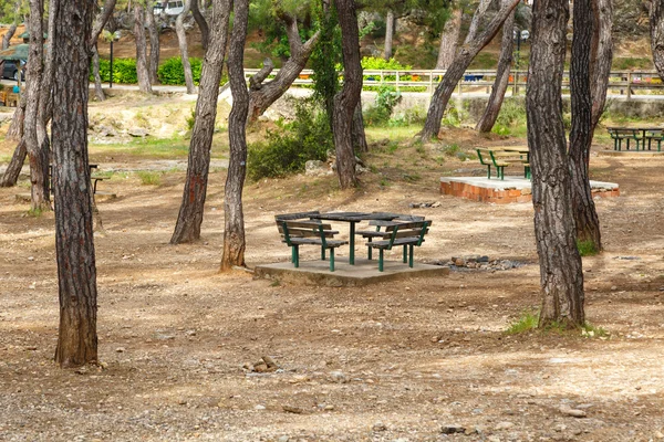 Скамейка в природном парке — стоковое фото