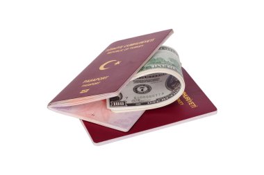 Pasaport ve Dolar Para Banknotları