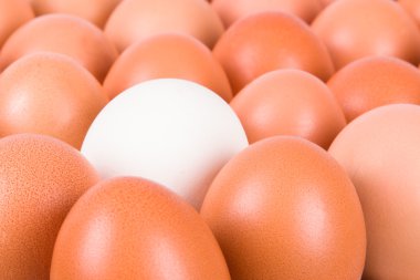 Sağlıklı organik yumurta