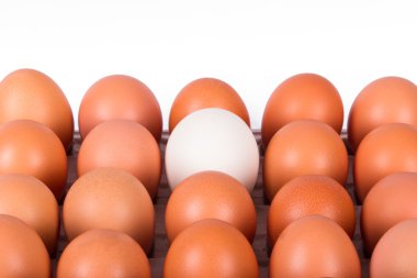 Sağlıklı organik yumurta